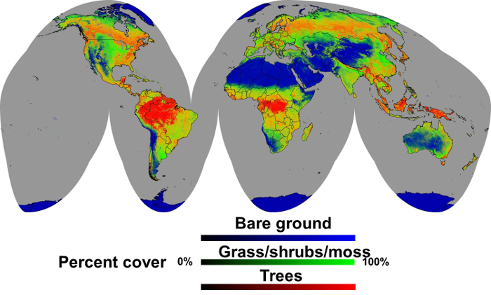 Image of MODIS landCover data for the world